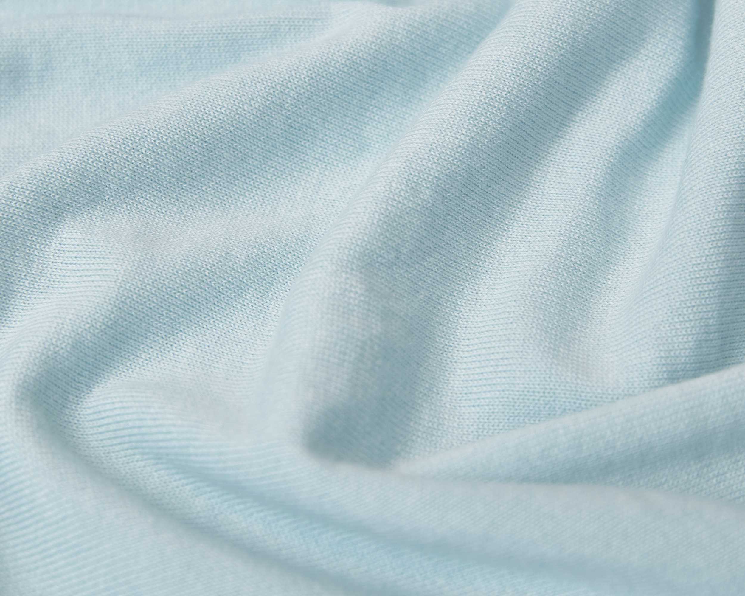 blue-bird