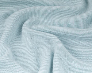 blue-bird